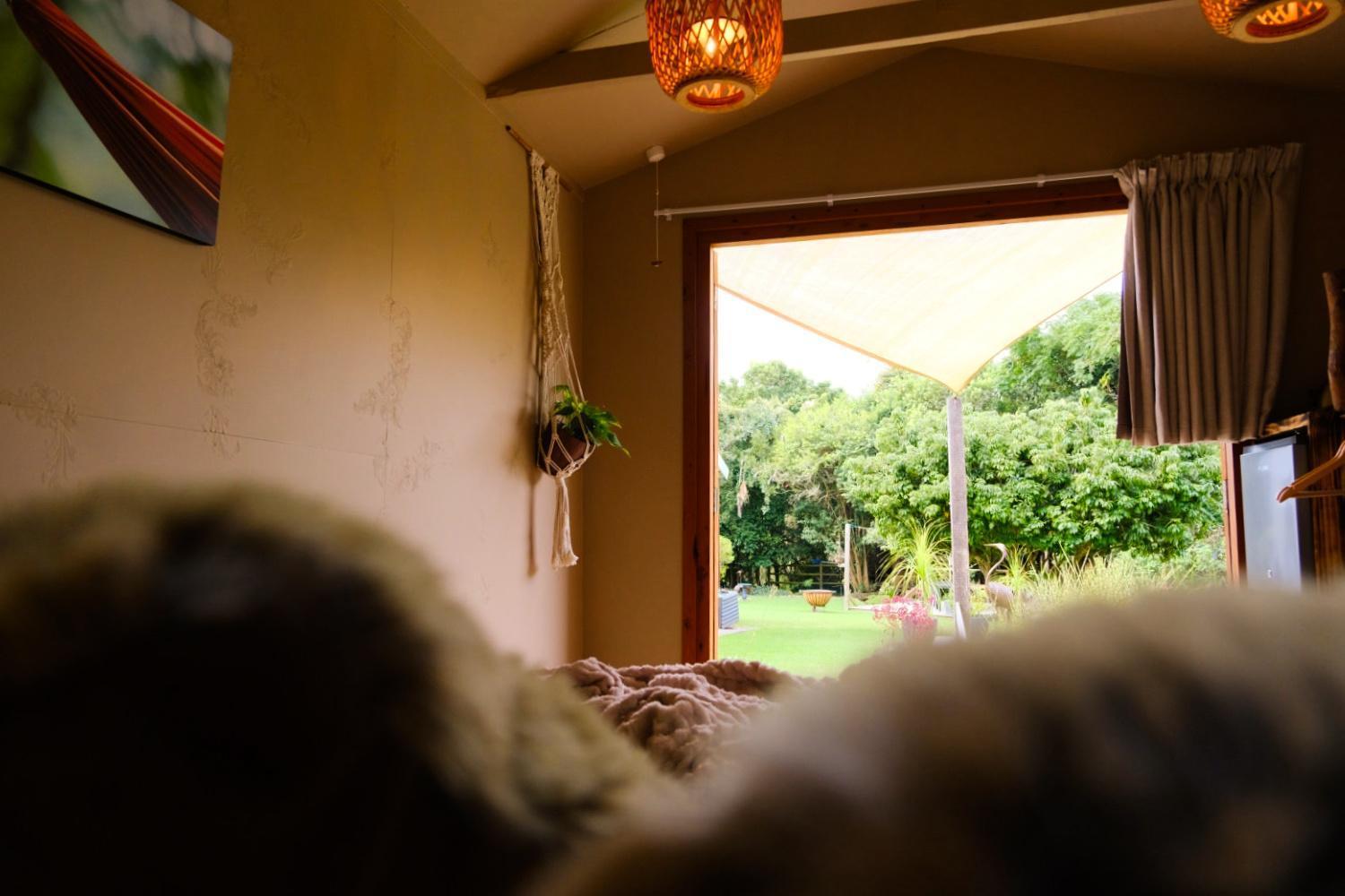 קניסנה Bwhale Guest House B&B מראה חיצוני תמונה
